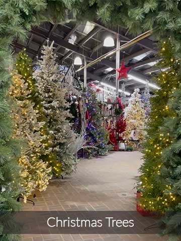 Christmas Trees