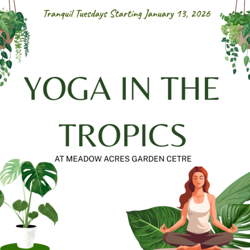 Yoga in the Tropics